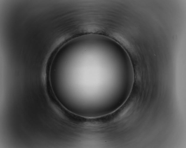X0000092240630200709211044