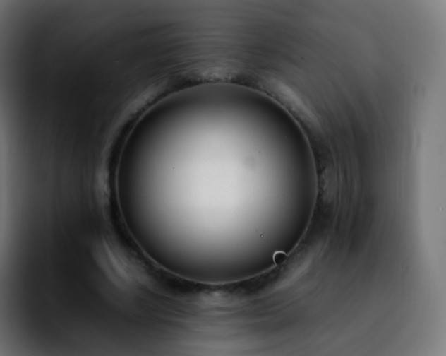 X0000092240634200709211044
