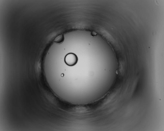 X0000092240636200709211044