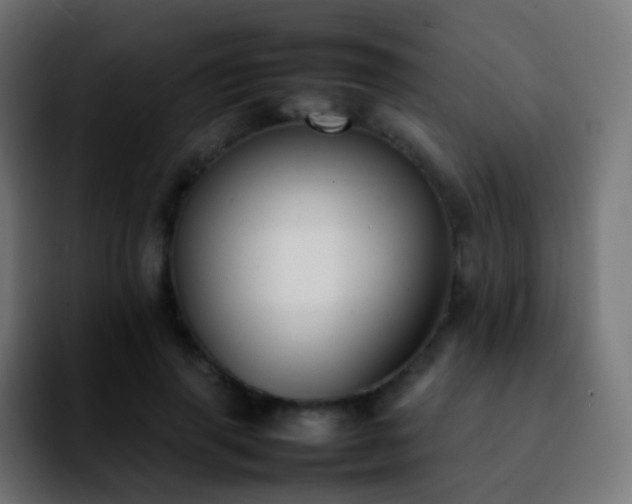 X0000092240645200709211044