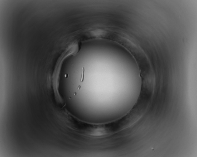 X0000092240651200709211044