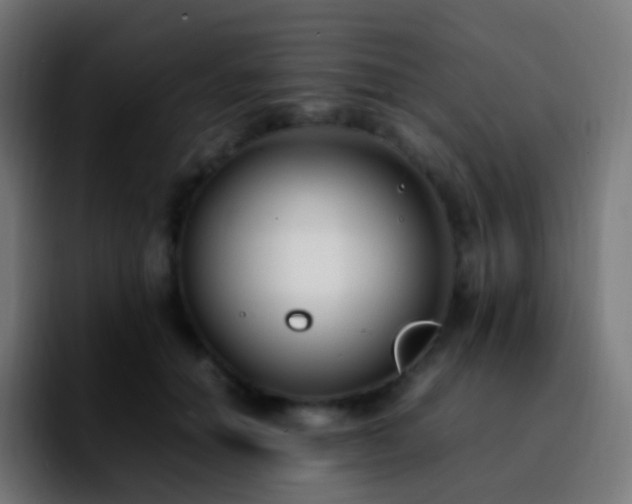 X0000092240654200709211044