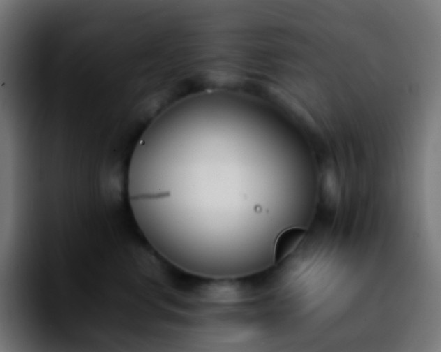 X0000092240668200709211044