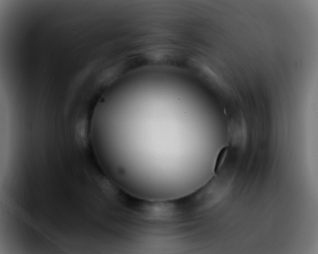X0000092240670200709211044