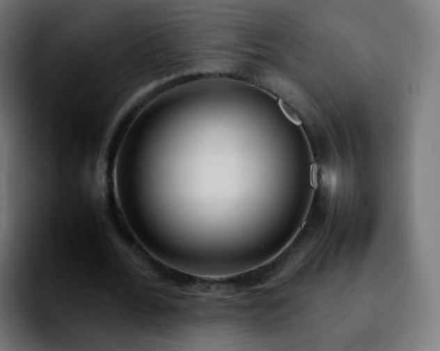 X0000092240676200709211044