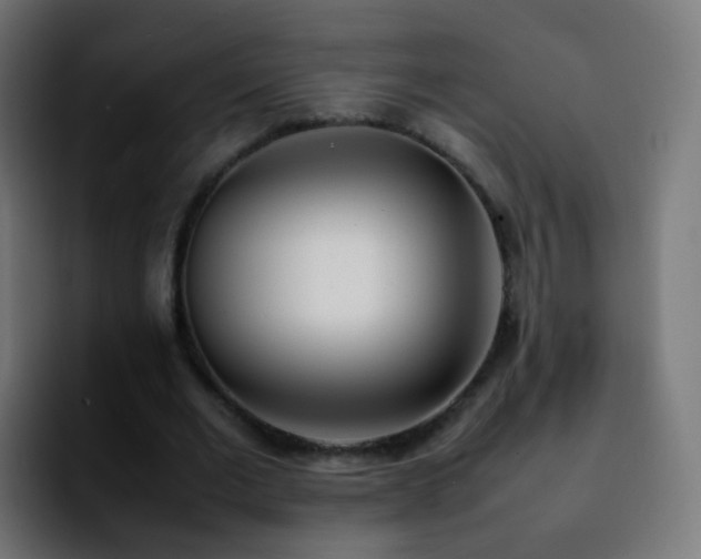 X0000092240677200709211044
