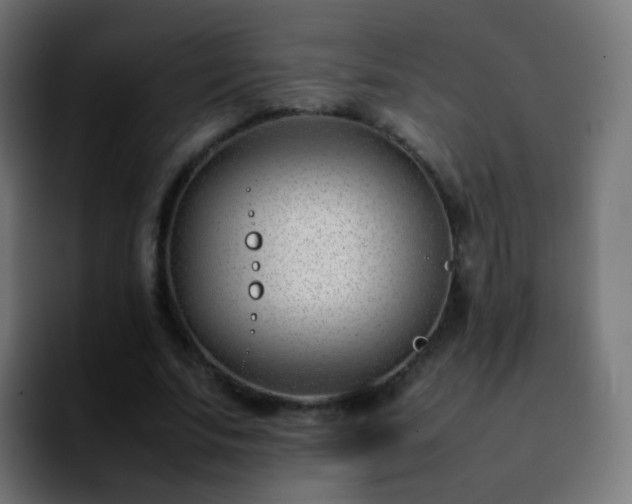 X0000092240679200709211044