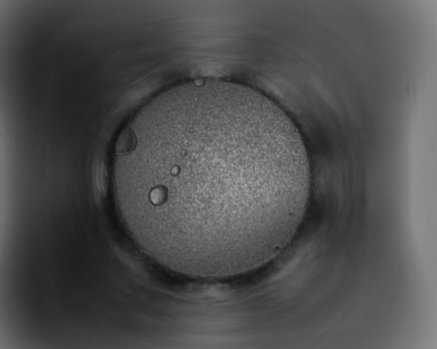 X0000092240683200709211044