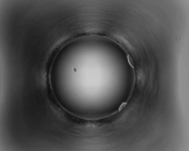 X0000092240684200709211044