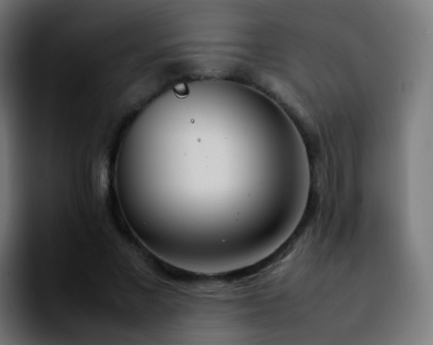 X0000092240685200709211044