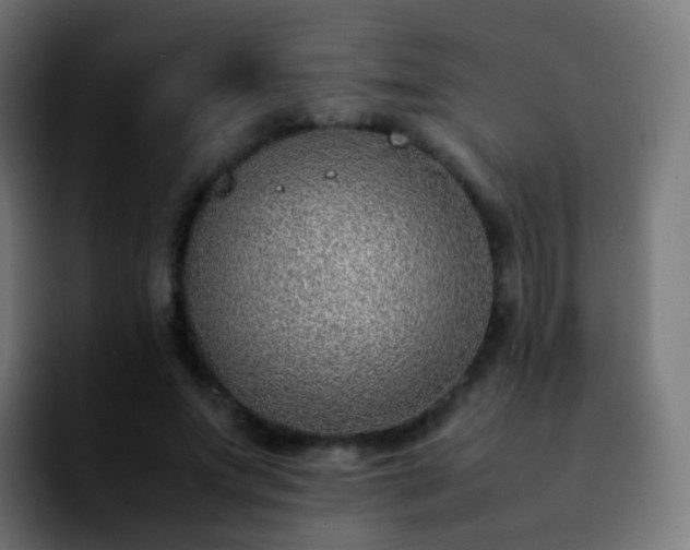 X0000092240687200709211044