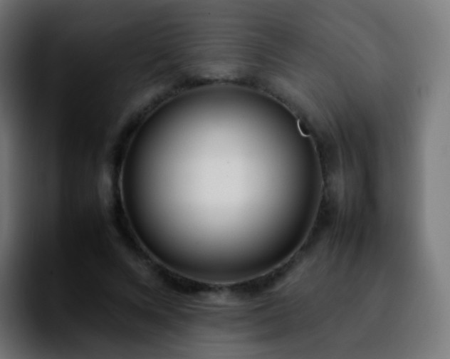 X0000092240688200709211044