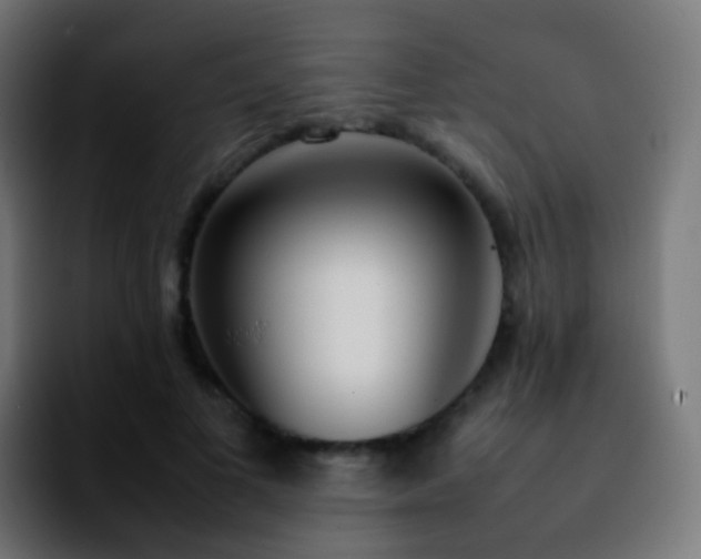 X0000092240693200709211044