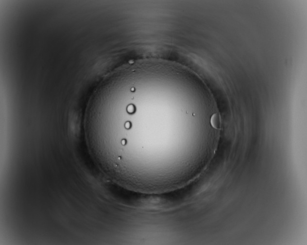 X0000092240695200709211044