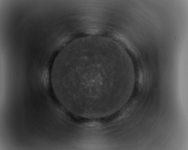 X0000092240696200709211044