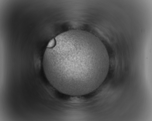 X0000092240703200709211043