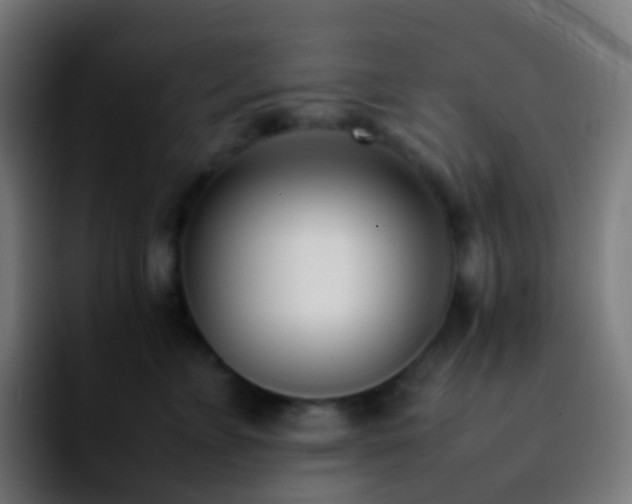 X0000092240715200709211043
