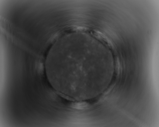 X0000092240716200709211043