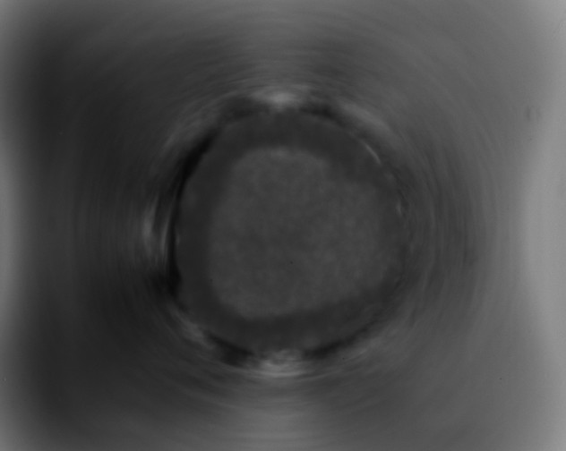X0000092240720200709211043
