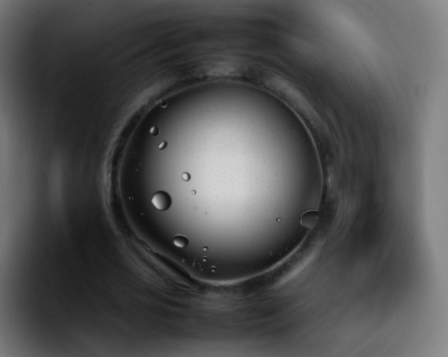X0000092240725200709211043