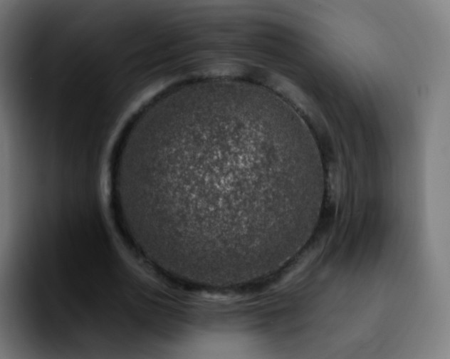 X0000092240726200709211043