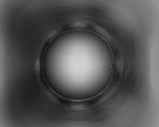 X0000092240729200709211043