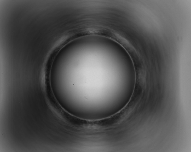 X0000092240730200709211043
