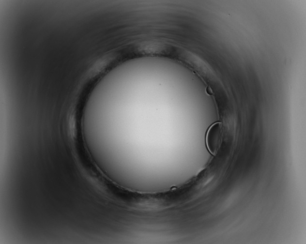 X0000092240734200709211043