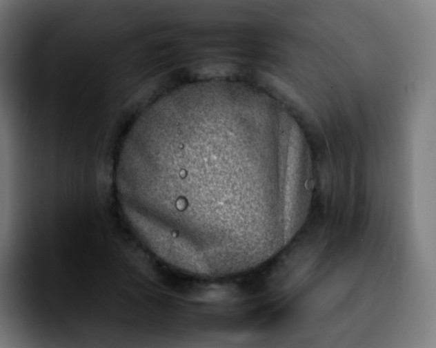 X0000092240737200709211043