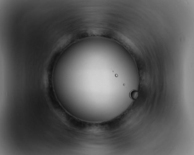 X0000092240738200709211043
