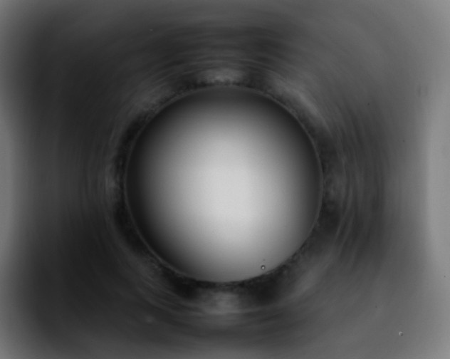 X0000092240743200709211043