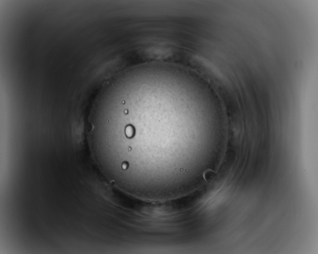X0000092240745200709211043