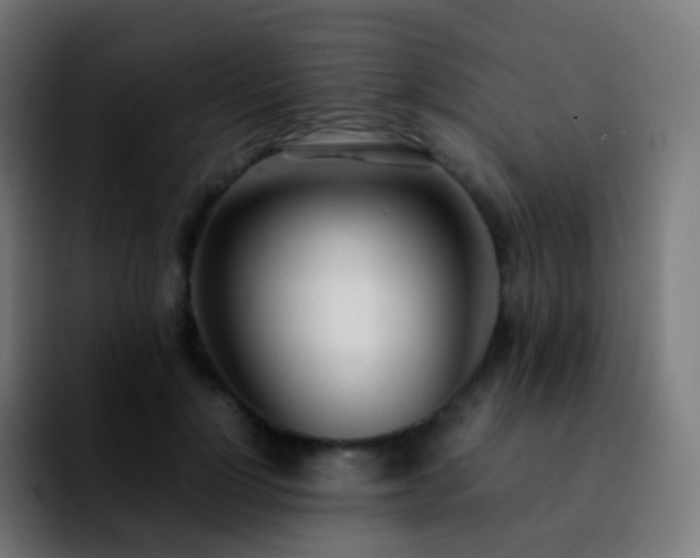X0000092240748200709211043