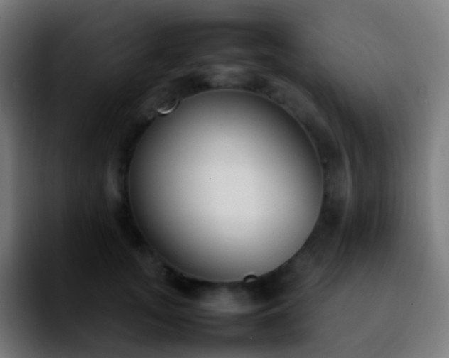 X0000092240755200709211043