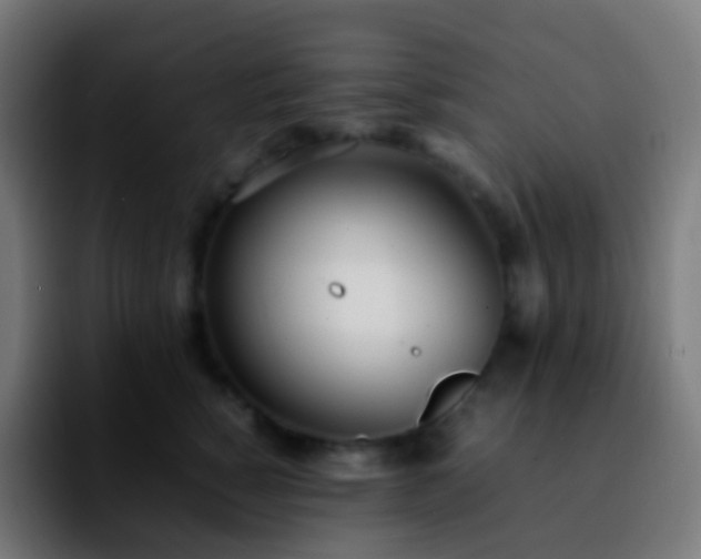 X0000092240760200709211043
