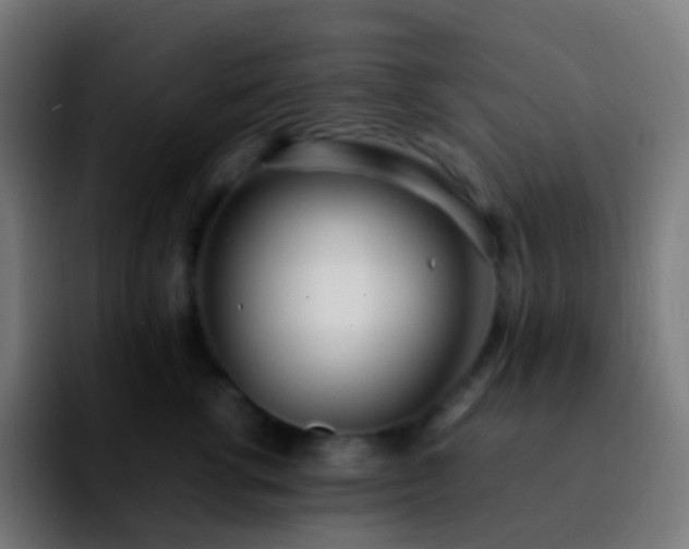 X0000092240762200709211043