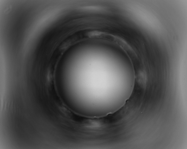 X0000092240763200709211043