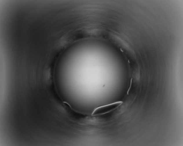 X0000092240764200709211043
