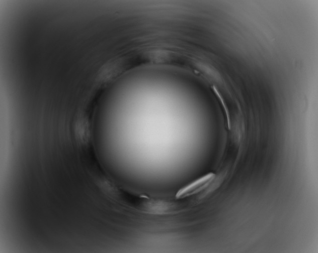X0000092240766200709211043