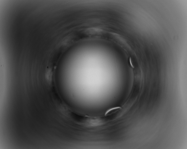X0000092240767200709211043