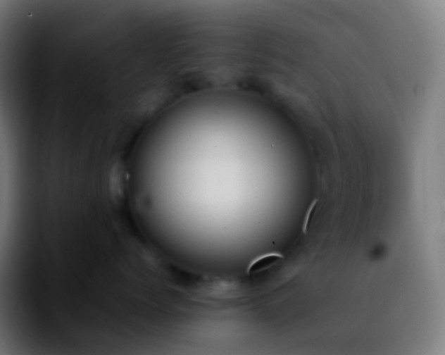X0000092240768200709211043