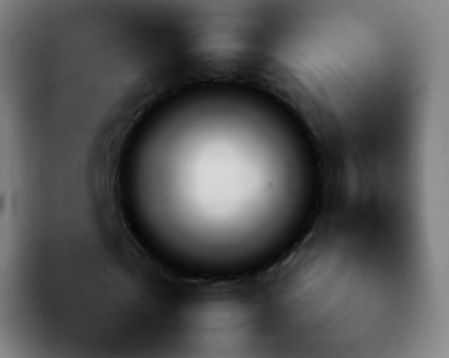 X0000092240769200709211043