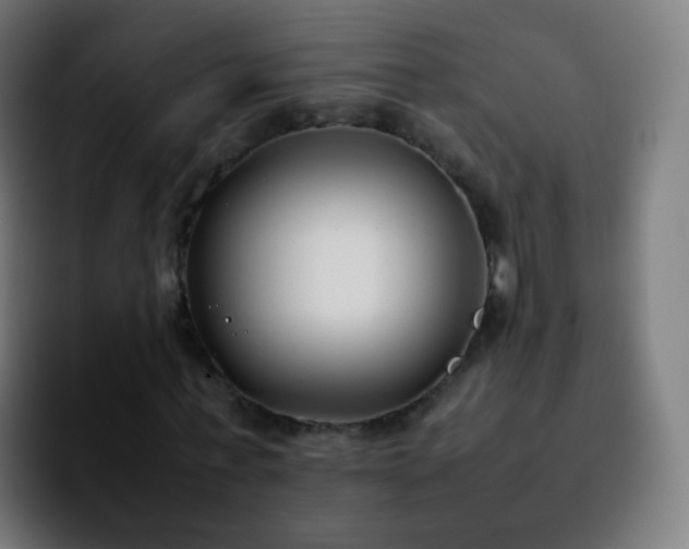 X0000092240771200709211043
