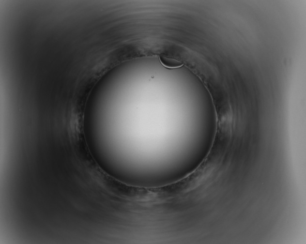 X0000092240772200709211043
