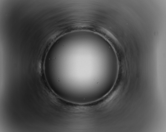X0000092240777200709211043