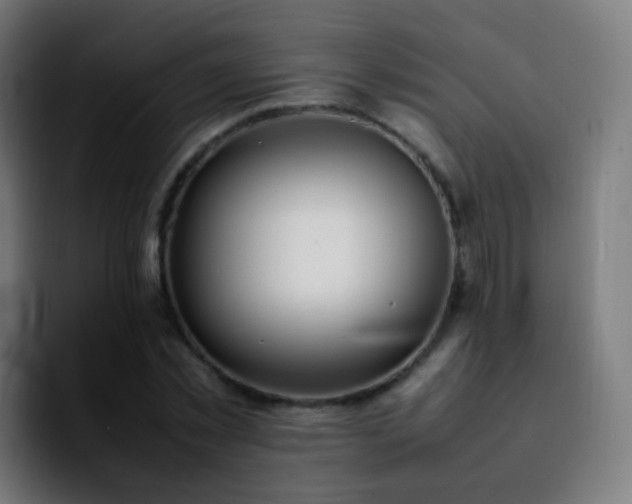 X0000092240781200709211043