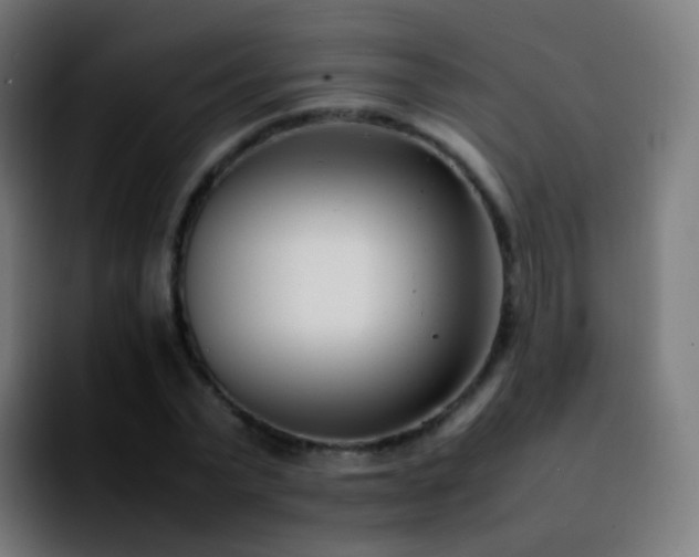 X0000092240783200709211043