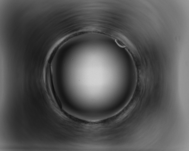 X0000092240788200709211042