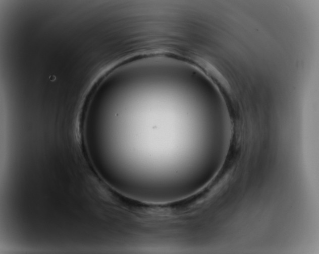 X0000092240789200709211042