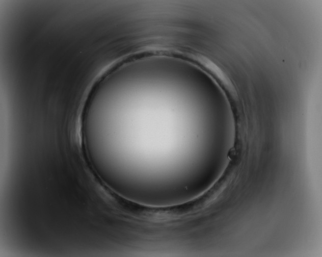 X0000092240791200709211042